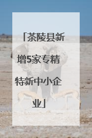 茶陵县新增5家专精特新中小企业
