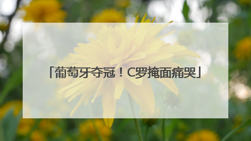 葡萄牙夺冠！C罗掩面痛哭