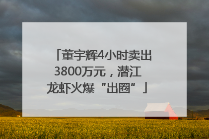 董宇辉4小时卖出3800万元，潜江龙虾火爆“出圈”