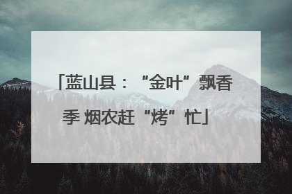 蓝山县：“金叶”飘香季 烟农赶“烤”忙