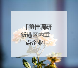 蔺佳调研新港区内重点企业