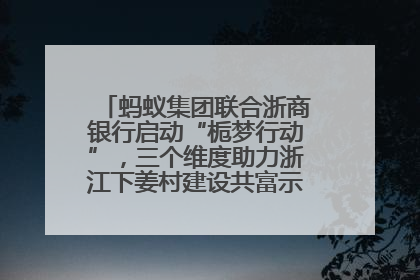 蚂蚁集团联合浙商银行启动“栀梦行动”，三个维度助力浙江下姜村建设共富示范区示范点