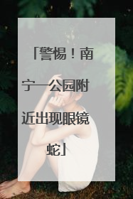警惕！南宁一公园附近出现眼镜蛇