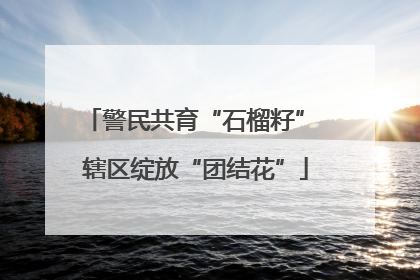 警民共育“石榴籽” 辖区绽放“团结花”