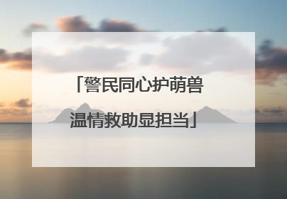 警民同心护萌兽 温情救助显担当