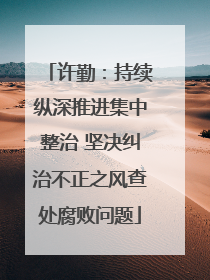 许勤：持续纵深推进集中整治 坚决纠治不正之风查处腐败问题