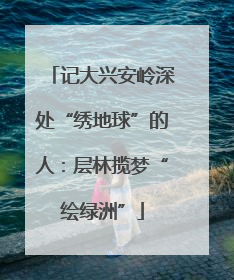 记大兴安岭深处“绣地球”的人：层林揽梦“绘绿洲”