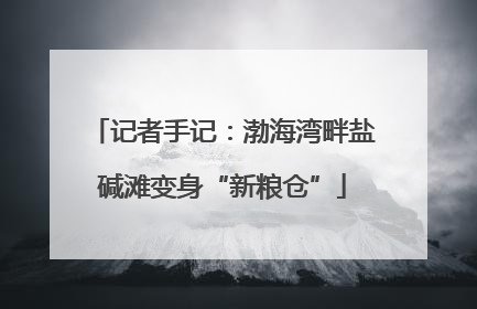 记者手记：渤海湾畔盐碱滩变身“新粮仓”