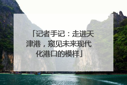 记者手记：走进天津港，窥见未来现代化港口的模样