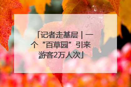 记者走基层｜一个“百草园”引来游客2万人次