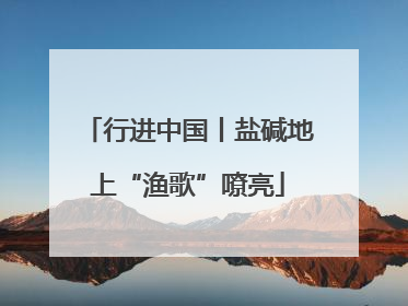 行进中国丨盐碱地上“渔歌”嘹亮