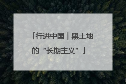 行进中国｜黑土地的“长期主义”
