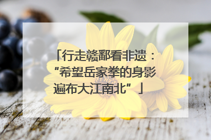 行走赣鄱看非遗：“希望岳家拳的身影遍布大江南北”