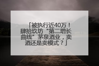 被执行近40万！肆拾玖坊“第二增长曲线”茅泉酒业，卖酒还是卖模式？