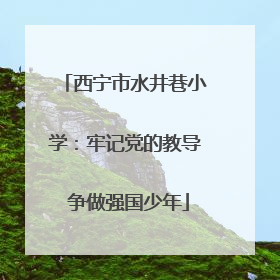 西宁市水井巷小学：牢记党的教导 争做强国少年