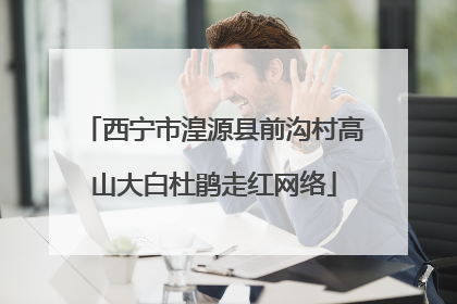西宁市湟源县前沟村高山大白杜鹃走红网络
