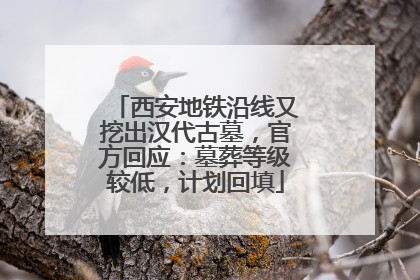 西安地铁沿线又挖出汉代古墓，官方回应：墓葬等级较低，计划回填