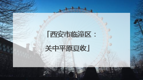 西安市临潼区：关中平原夏收