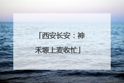 西安长安：神禾塬上麦收忙