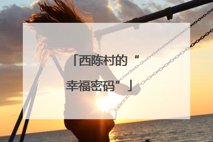 西陈村的“幸福密码”