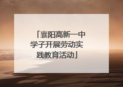襄阳高新一中学子开展劳动实践教育活动