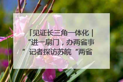 见证长三角一体化｜“进一扇门，办两省事”记者探访苏皖“两省一街”警务室