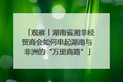 观察丨湖南省湘非经贸商会如何串起湖南与非洲的“万里商路”