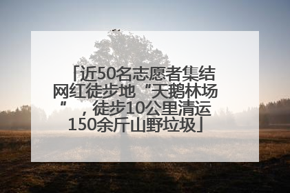近50名志愿者集结网红徒步地“天鹅林场”，徒步10公里清运150余斤山野垃圾