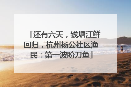 还有六天，钱塘江鲜回归，杭州杨公社区渔民：第一波盼刀鱼