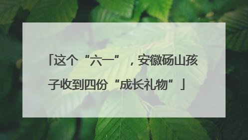 这个“六一”，安徽砀山孩子收到四份“成长礼物”
