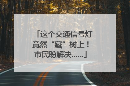 这个交通信号灯竟然“藏”树上！市民盼解决……