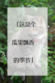 这是个瓜果飘香的季节