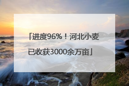 进度96%！河北小麦已收获3000余万亩