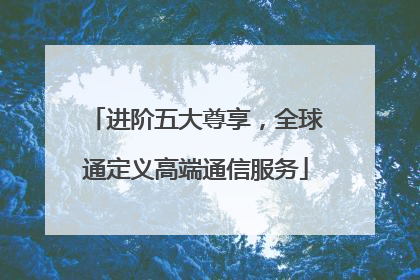 进阶五大尊享，全球通定义高端通信服务