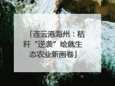 连云港海州：秸秆“逆袭”绘就生态农业新画卷