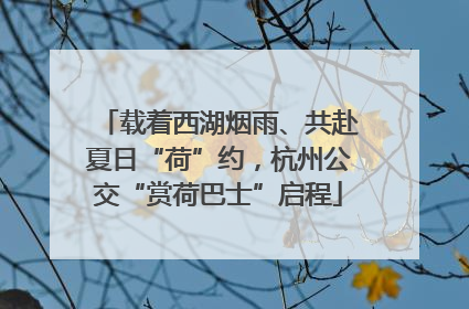 载着西湖烟雨、共赴夏日“荷”约，杭州公交“赏荷巴士”启程