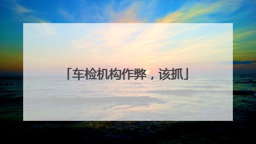 车检机构作弊，该抓