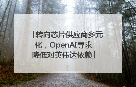 转向芯片供应商多元化，OpenAI寻求降低对英伟达依赖