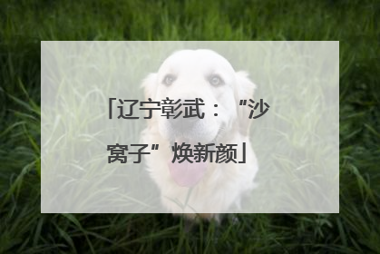 辽宁彰武：“沙窝子”焕新颜