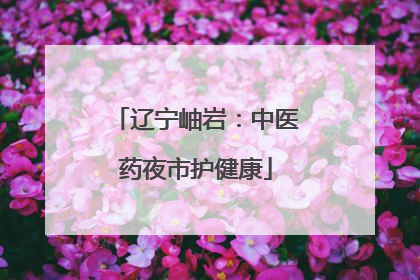 辽宁岫岩：中医药夜市护健康