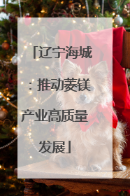 辽宁海城：推动菱镁产业高质量发展