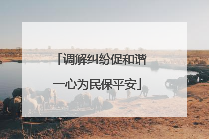 调解纠纷促和谐 一心为民保平安