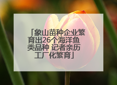 象山苗种企业繁育出26个海洋鱼类品种 记者亲历工厂化繁育