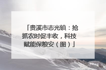 贵溪市志光镇：抢抓农时促丰收，科技赋能保粮安（图）