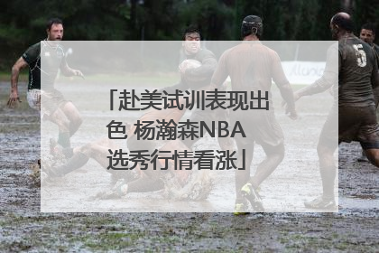 赴美试训表现出色 杨瀚森NBA选秀行情看涨