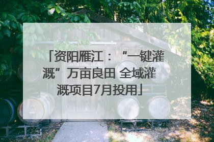 资阳雁江：“一键灌溉”万亩良田 全域灌溉项目7月投用