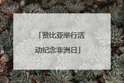 赞比亚举行活动纪念非洲日