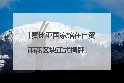 赞比亚国家馆在自贸雨花区块正式揭牌