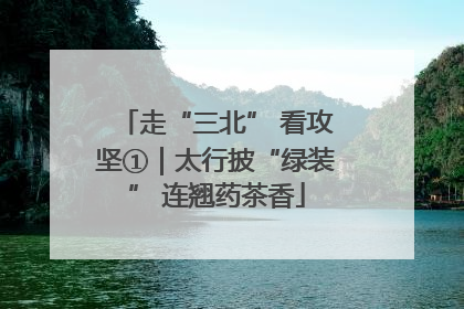 走“三北” 看攻坚①｜太行披“绿装” 连翘药茶香