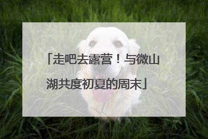 走吧去露营！与微山湖共度初夏的周末